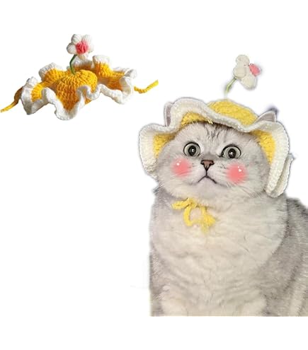 Amazon.co.jp: なめ猫 レトロ なめんなよ猫 下敷き ！ : ペット用品